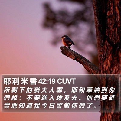 耶 利 米 書 42:19 CUVT Bible Verse Image
