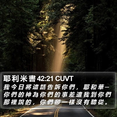 耶 利 米 書 42:21 CUVT Bible Verse Image