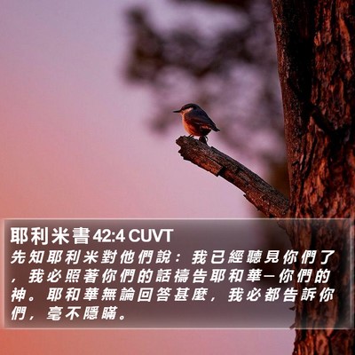 耶 利 米 書 42:4 CUVT Bible Verse Image