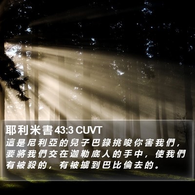 耶 利 米 書 43:3 CUVT Bible Verse Image