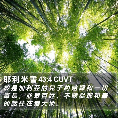 耶 利 米 書 43:4 CUVT Bible Verse Image