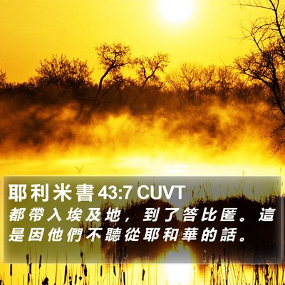 耶 利 米 書 43:7 CUVT Bible Verse Image
