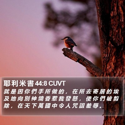 耶 利 米 書 44:8 CUVT Bible Verse Image