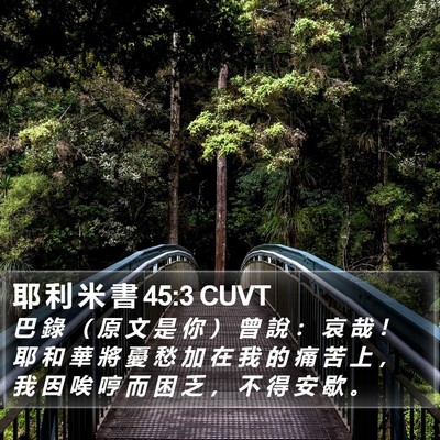 耶 利 米 書 45:3 CUVT Bible Verse Image
