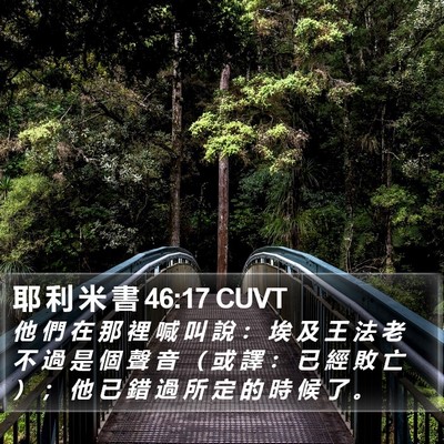耶 利 米 書 46:17 CUVT Bible Verse Image