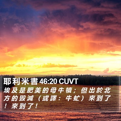 耶 利 米 書 46:20 CUVT Bible Verse Image