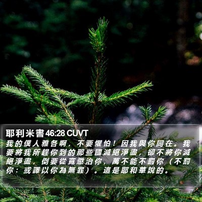 耶 利 米 書 46:28 CUVT Bible Verse Image