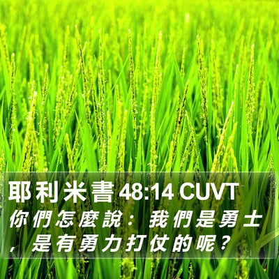 耶 利 米 書 48:14 CUVT Bible Verse Image