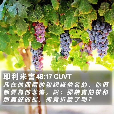 耶 利 米 書 48:17 CUVT Bible Verse Image