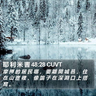 耶 利 米 書 48:28 CUVT Bible Verse Image
