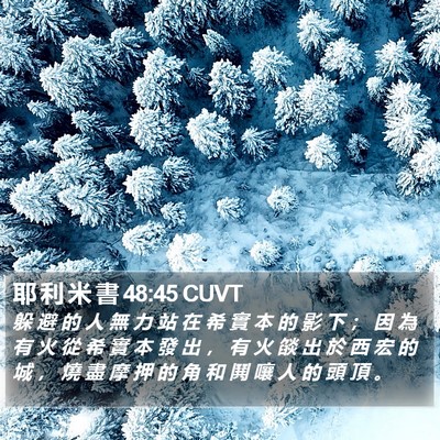 耶 利 米 書 48:45 CUVT Bible Verse Image