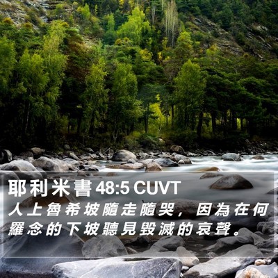 耶 利 米 書 48:5 CUVT Bible Verse Image