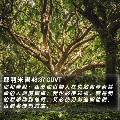耶 利 米 書 49:37 CUVT Bible Verse Image