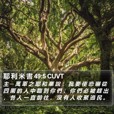 耶 利 米 書 49:5 CUVT Bible Verse Image