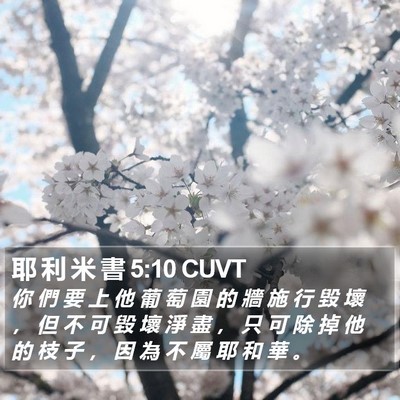 耶 利 米 書 5:10 CUVT Bible Verse Image