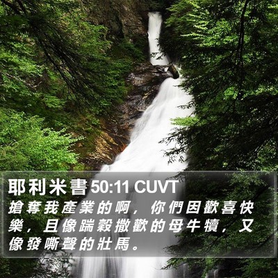耶 利 米 書 50:11 CUVT Bible Verse Image