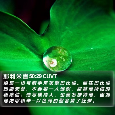 耶 利 米 書 50:29 CUVT Bible Verse Image