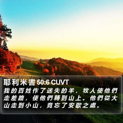 耶 利 米 書 50:6 CUVT Bible Verse Image