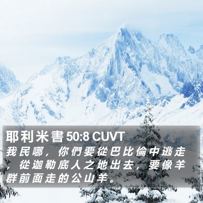 耶 利 米 書 50:8 CUVT Bible Verse Image