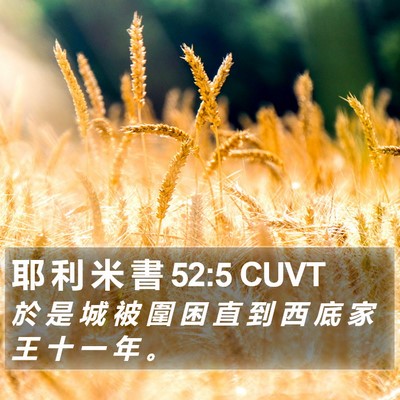 耶 利 米 書 52:5 CUVT Bible Verse Image