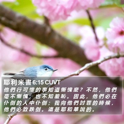 耶 利 米 書 6:15 CUVT Bible Verse Image