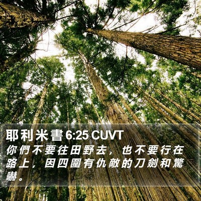 耶 利 米 書 6:25 CUVT Bible Verse Image