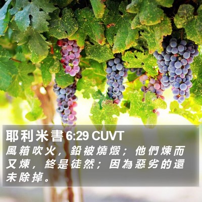 耶 利 米 書 6:29 CUVT Bible Verse Image