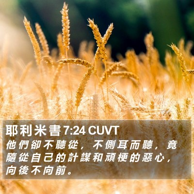 耶 利 米 書 7:24 CUVT Bible Verse Image