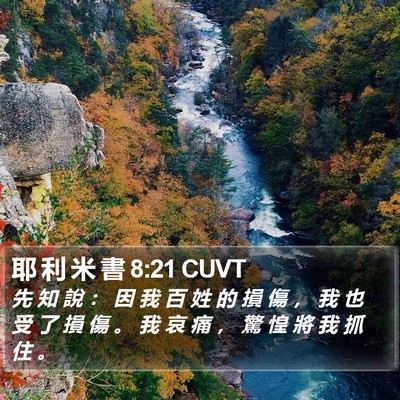 耶 利 米 書 8:21 CUVT Bible Verse Image