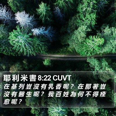 耶 利 米 書 8:22 CUVT Bible Verse Image