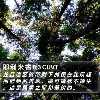 耶 利 米 書 8:3 CUVT Bible Verse Image