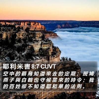 耶 利 米 書 8:7 CUVT Bible Verse Image