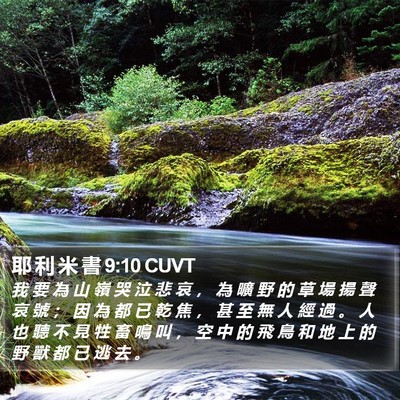 耶 利 米 書 9:10 CUVT Bible Verse Image