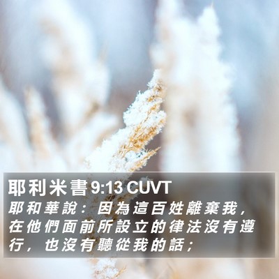 耶 利 米 書 9:13 CUVT Bible Verse Image