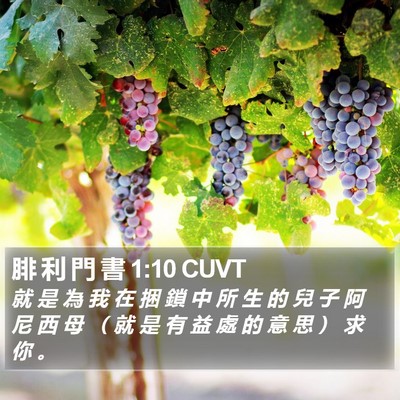 腓 利 門 書 1:10 CUVT Bible Verse Image