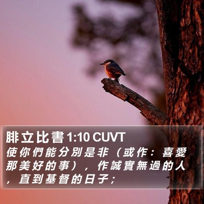 腓 立 比 書 1:10 CUVT Bible Verse Image