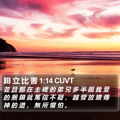 腓 立 比 書 1:14 CUVT Bible Verse Image
