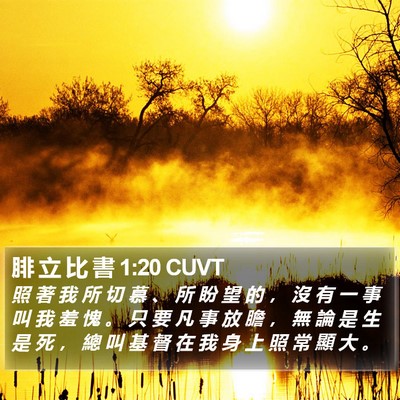 腓 立 比 書 1:20 CUVT Bible Verse Image
