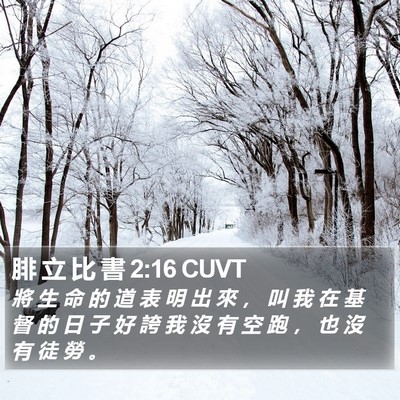 腓 立 比 書 2:16 CUVT Bible Verse Image