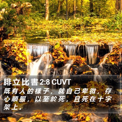 腓 立 比 書 2:8 CUVT Bible Verse Image