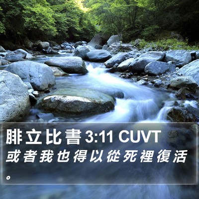 腓 立 比 書 3:11 CUVT Bible Verse Image