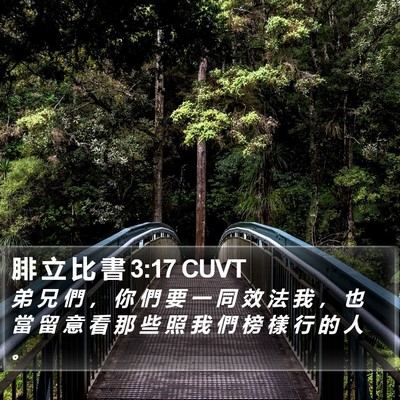 腓 立 比 書 3:17 CUVT Bible Verse Image