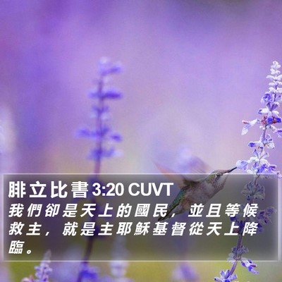腓 立 比 書 3:20 CUVT Bible Verse Image