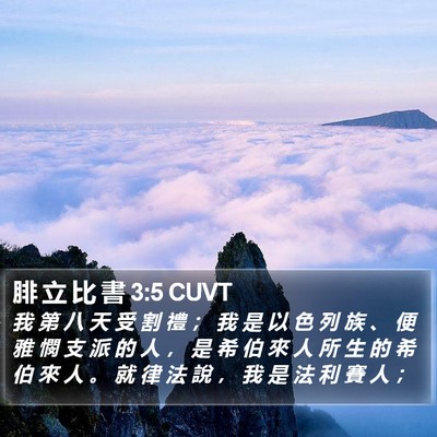 腓 立 比 書 3:5 CUVT Bible Verse Image