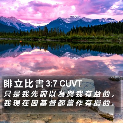 腓 立 比 書 3:7 CUVT Bible Verse Image