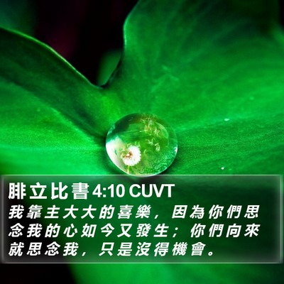 腓 立 比 書 4:10 CUVT Bible Verse Image