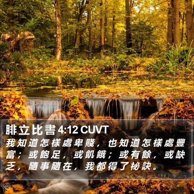 腓 立 比 書 4:12 CUVT Bible Verse Image