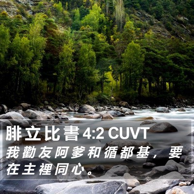 腓 立 比 書 4:2 CUVT Bible Verse Image