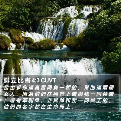 腓 立 比 書 4:3 CUVT Bible Verse Image
