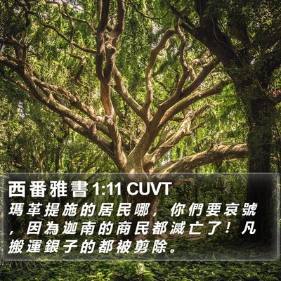 西 番 雅 書 1:11 CUVT Bible Verse Image